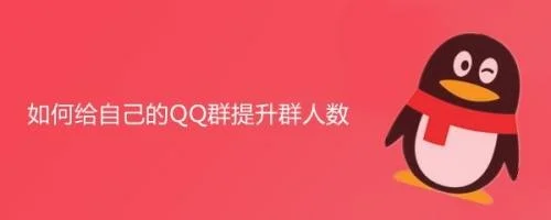 QQ群人数升级攻略：完整步骤与提升方法详解