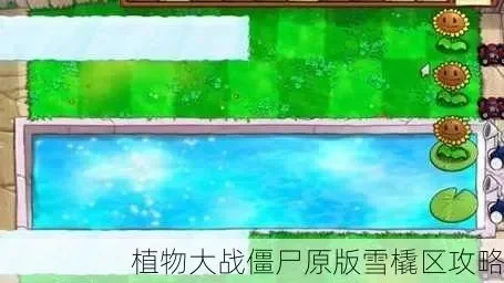 植物大战僵尸雪橇区攻略：必选植物布局策略详解