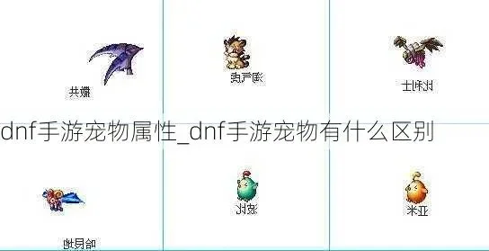 dnf手游宠物哪只好-dnf手游宠物选择指南