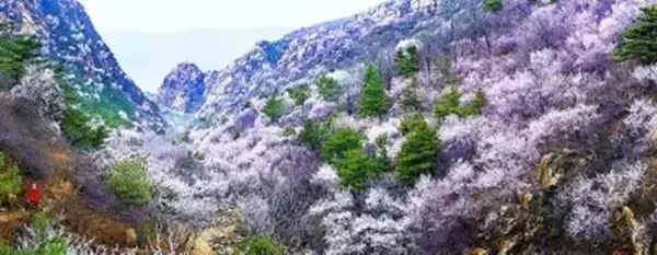 灭国英雄花屏怎么办-花屏山：自然与文化的交融