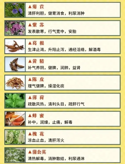 手游排行榜药用与作用-手游药用植物与健康启示