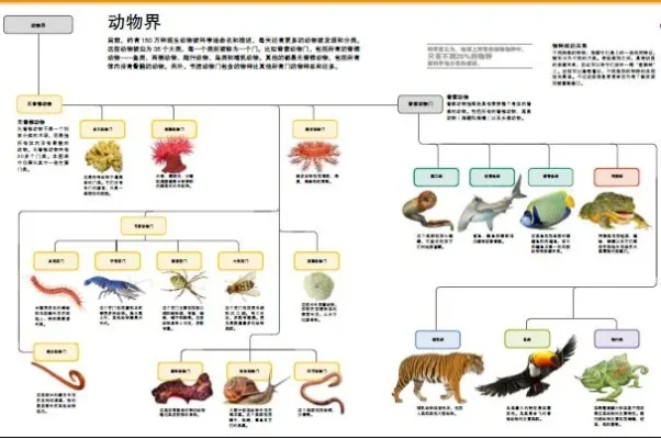 生物系单机游戏排行榜-生物游戏排行推荐